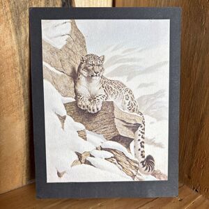 Edward Bierly Snow Leopard Litho Print On Matte
